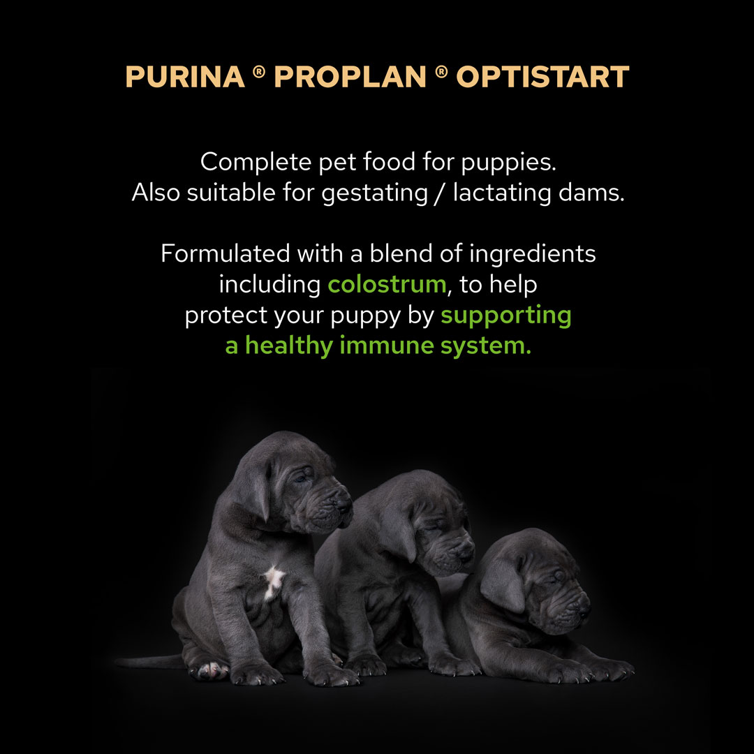 PRO PLAN Optistart Small Puppy Food Purina