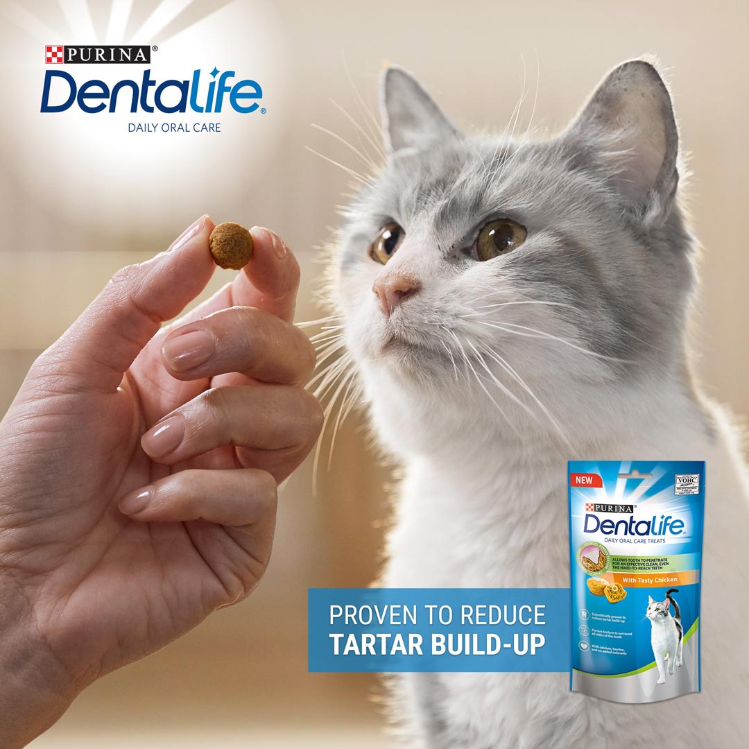 DENTALIFE Chicken Cat Treats Purina