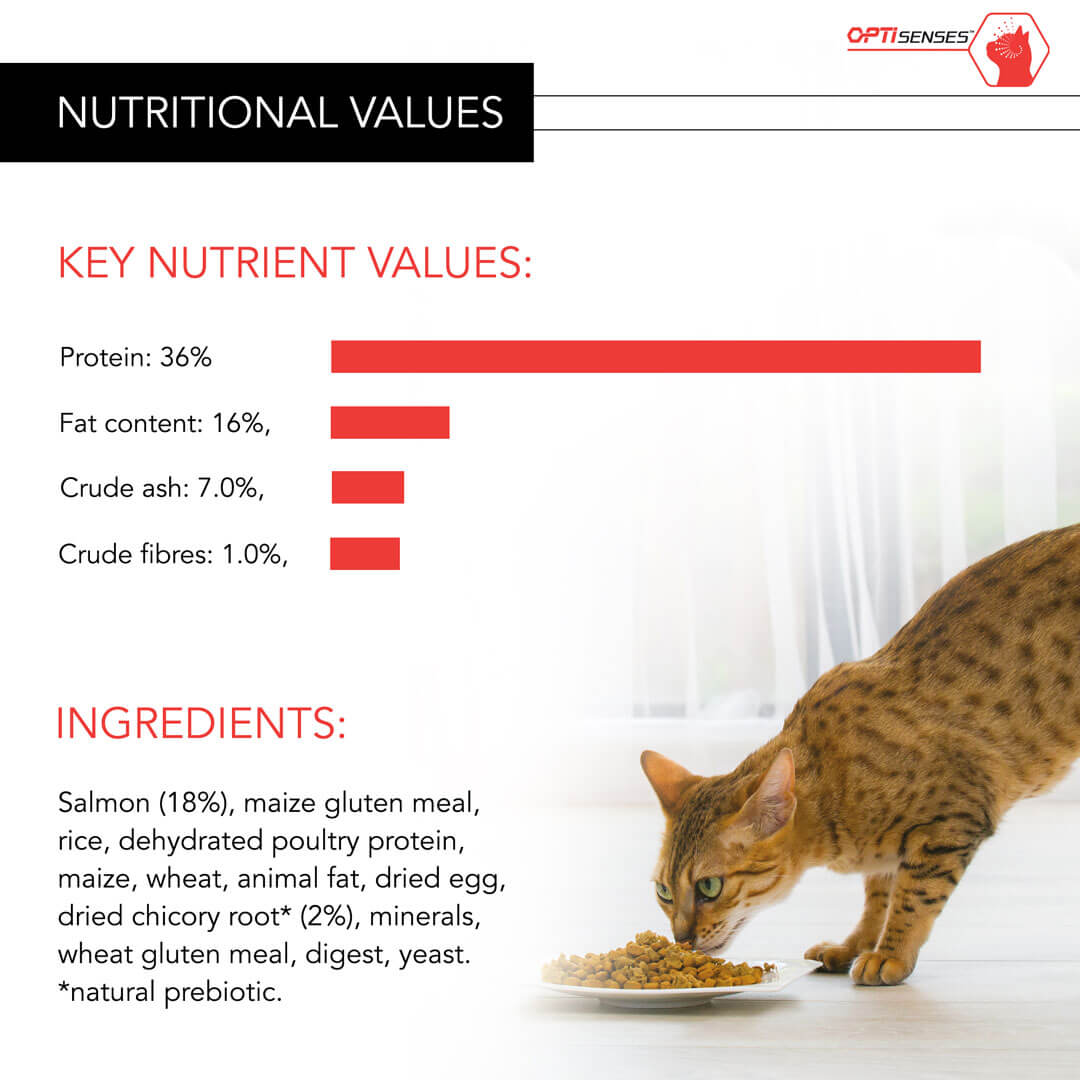 crude ash in cat food