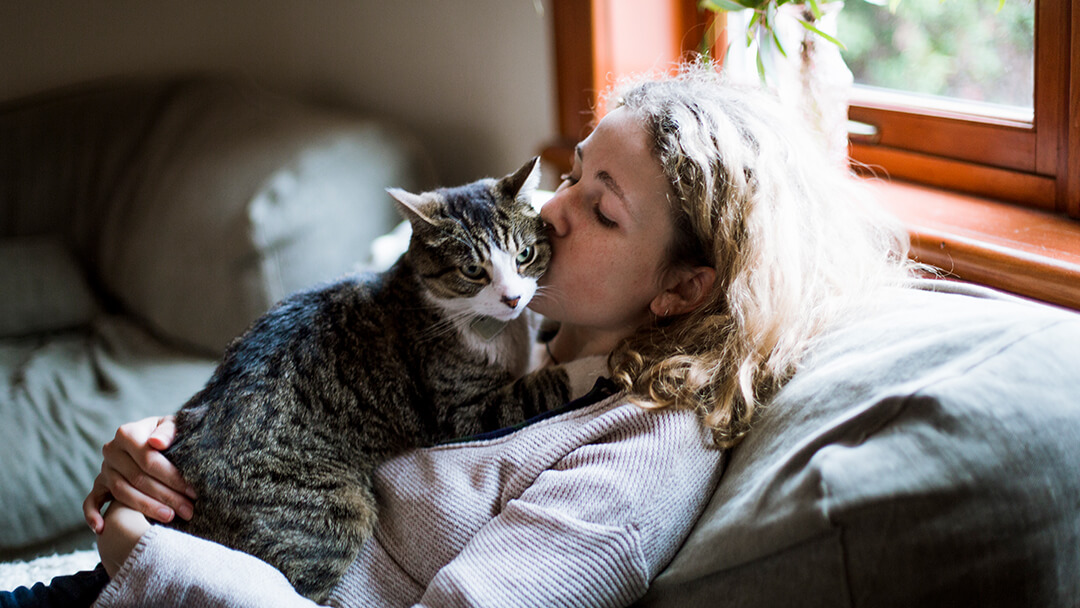 Woman kissing cat on cheek