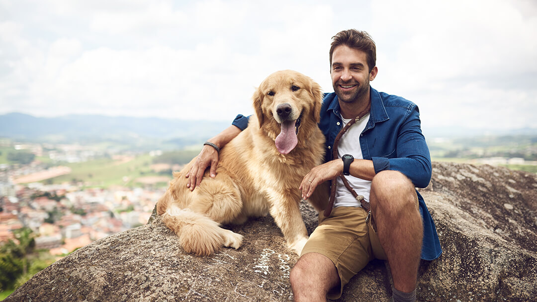 Dog sitting on mountain with man