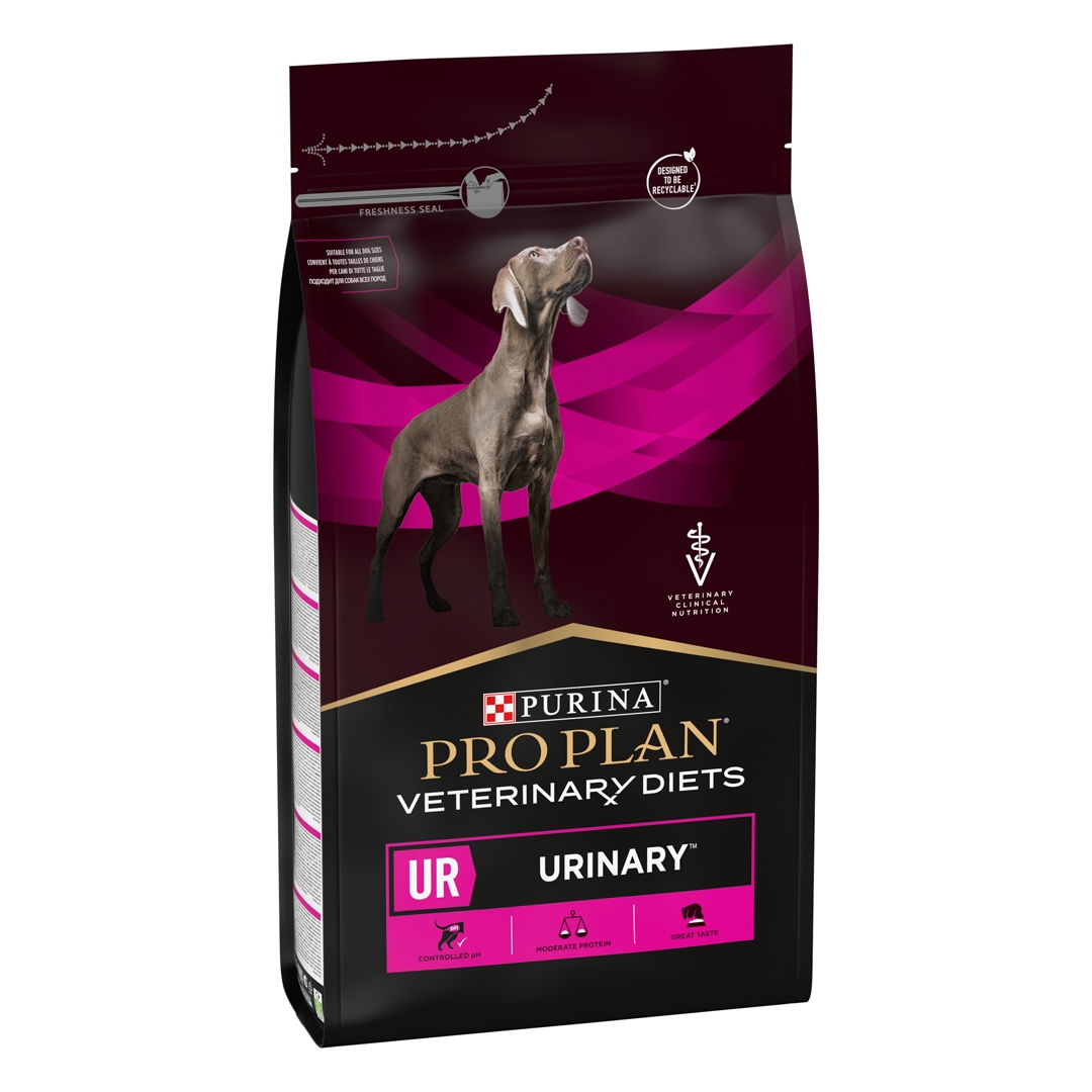 Urinary dry 2025 dog food