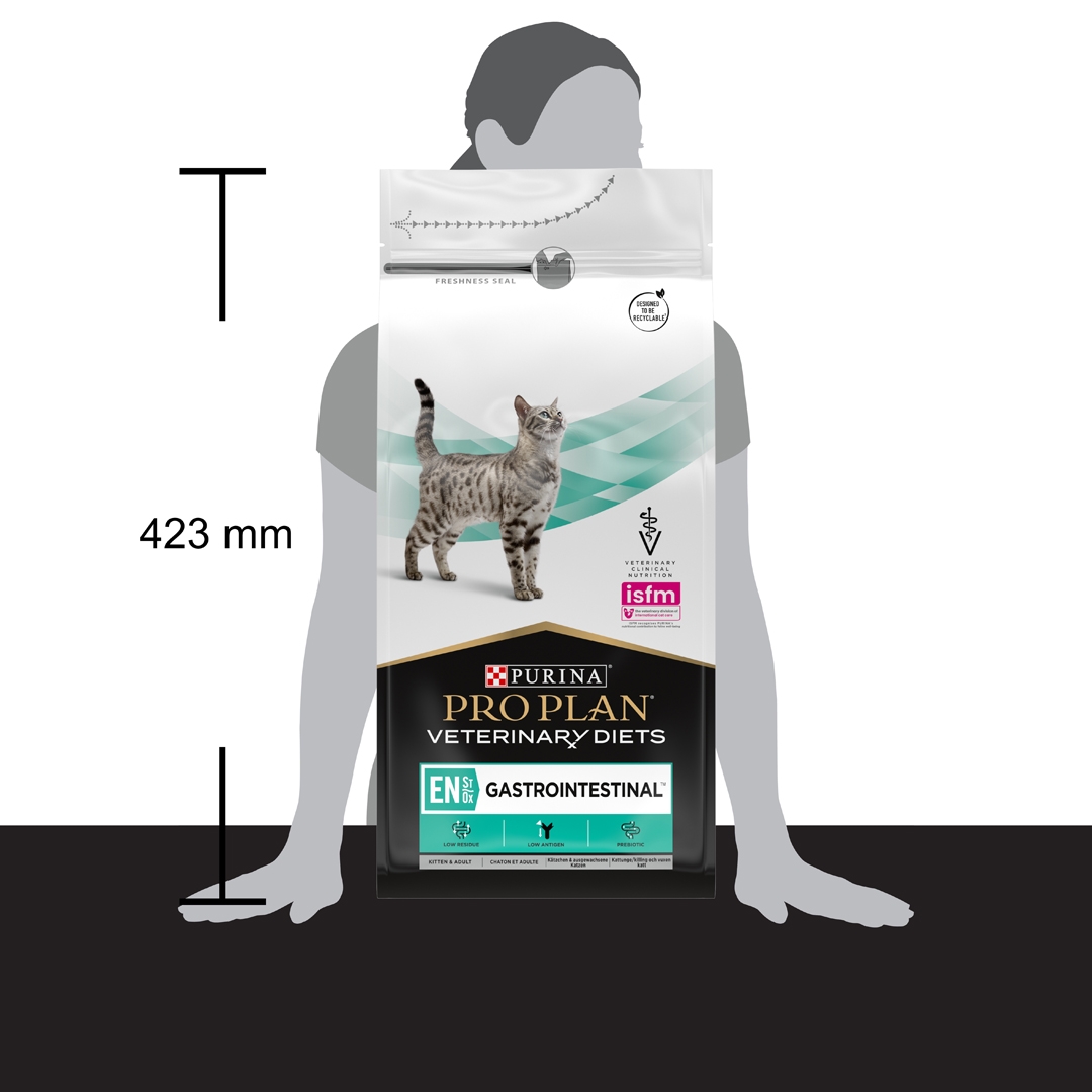 PPVD EN Gastrointestinal Dry Cat Food Purina