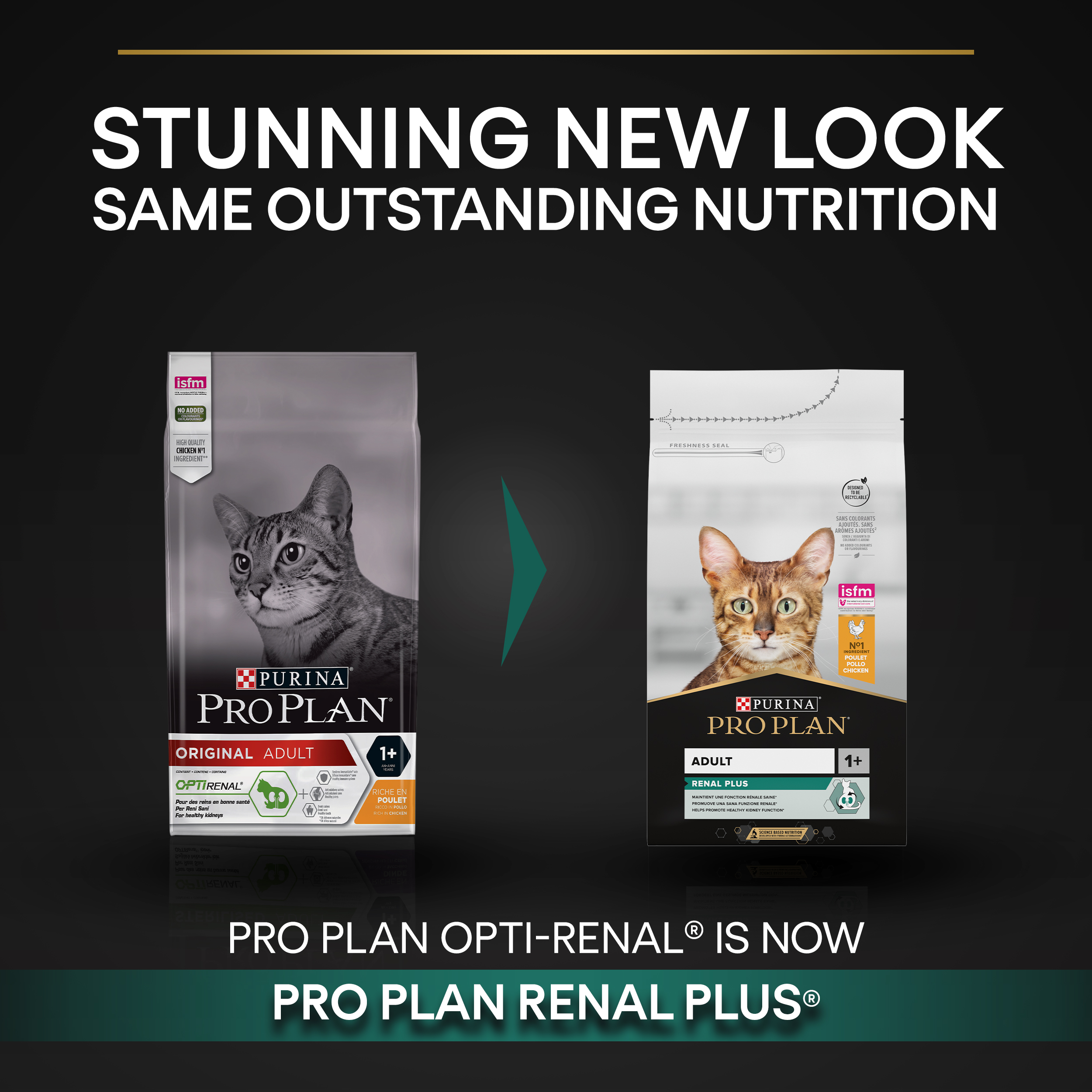 PRO PLAN Healthy Kidneys Dry Chicken Cat Food Purina