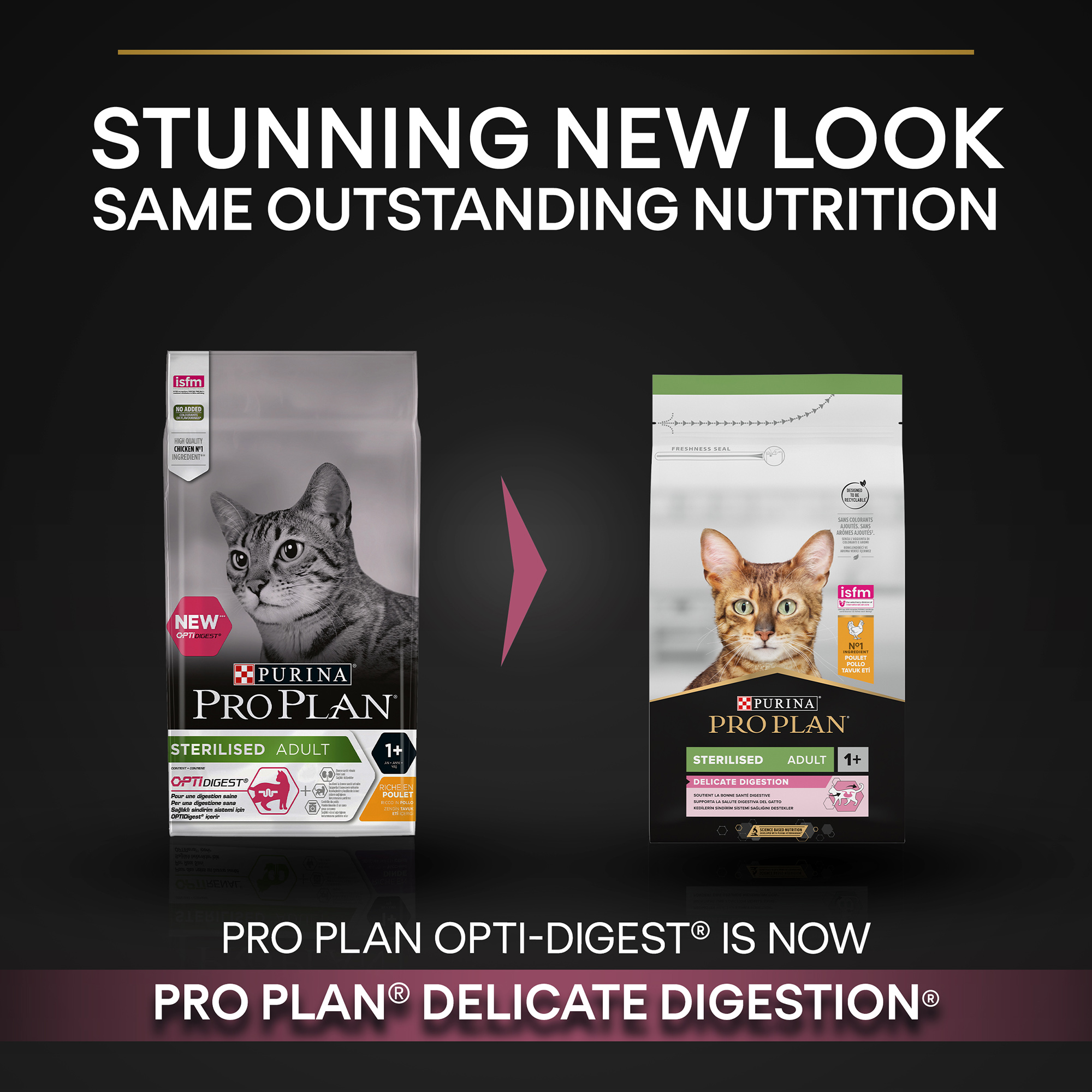 Pro plan sterilized best sale