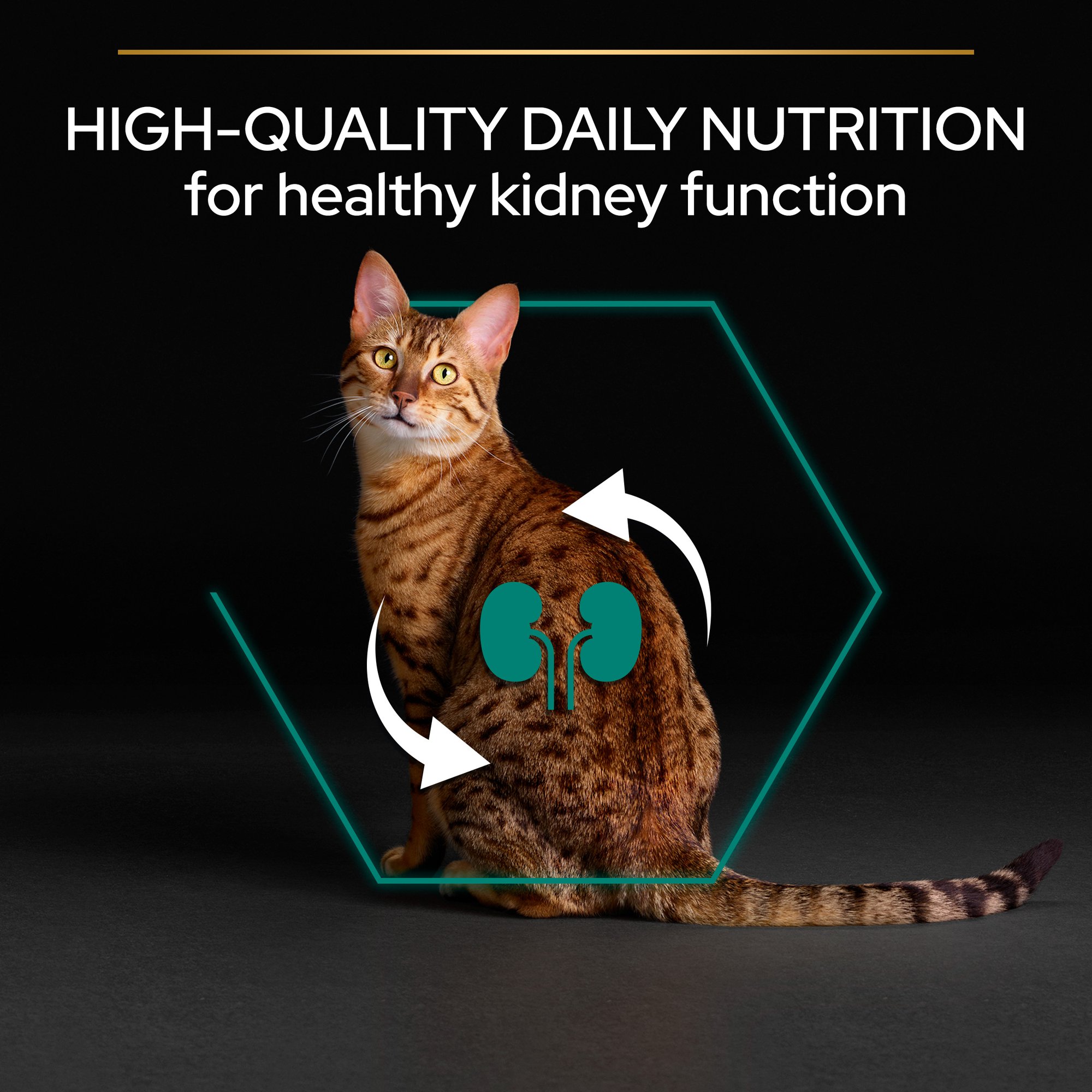 PRO PLAN Healthy Kidneys Dry Chicken Cat Food Purina