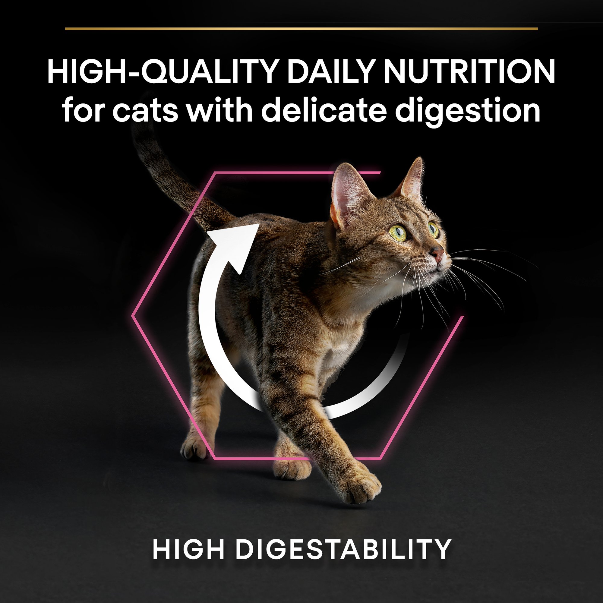 PRO PLAN Delicate With Optidigest Turkey Cat Food Purina