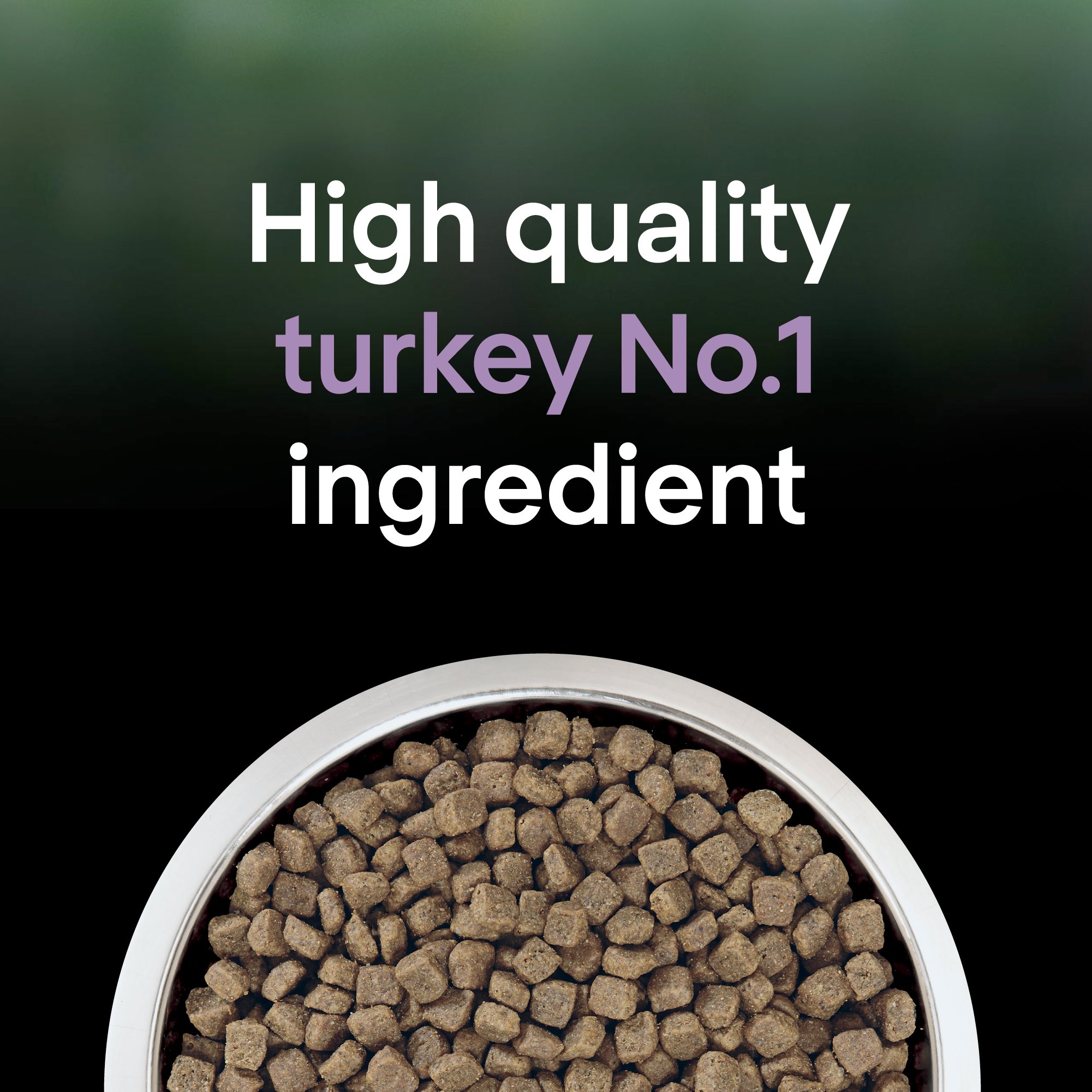 PRO PLAN LIVECLEAR Adult 1 Turkey Purina Arabia