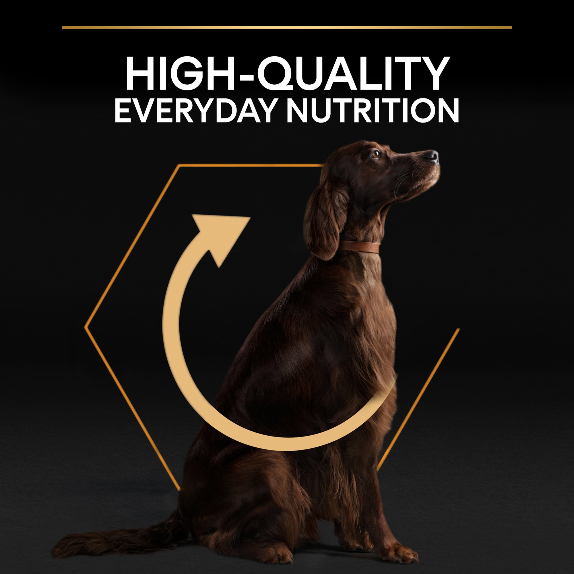 Pro plan outlet athletic dog food