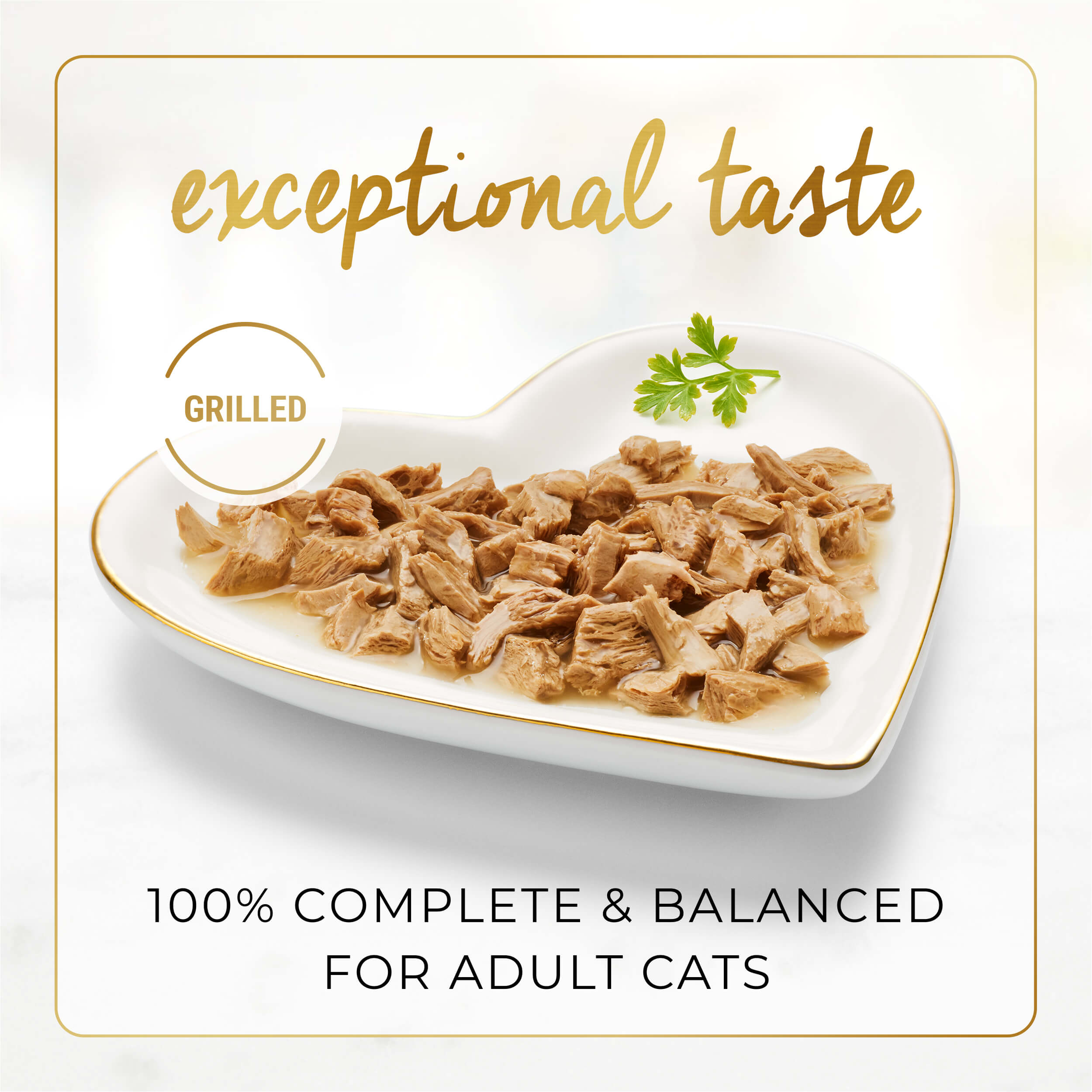 FANCY FEAST Grilled Chicken Beef in Gravy Cat Food Purina Arabia