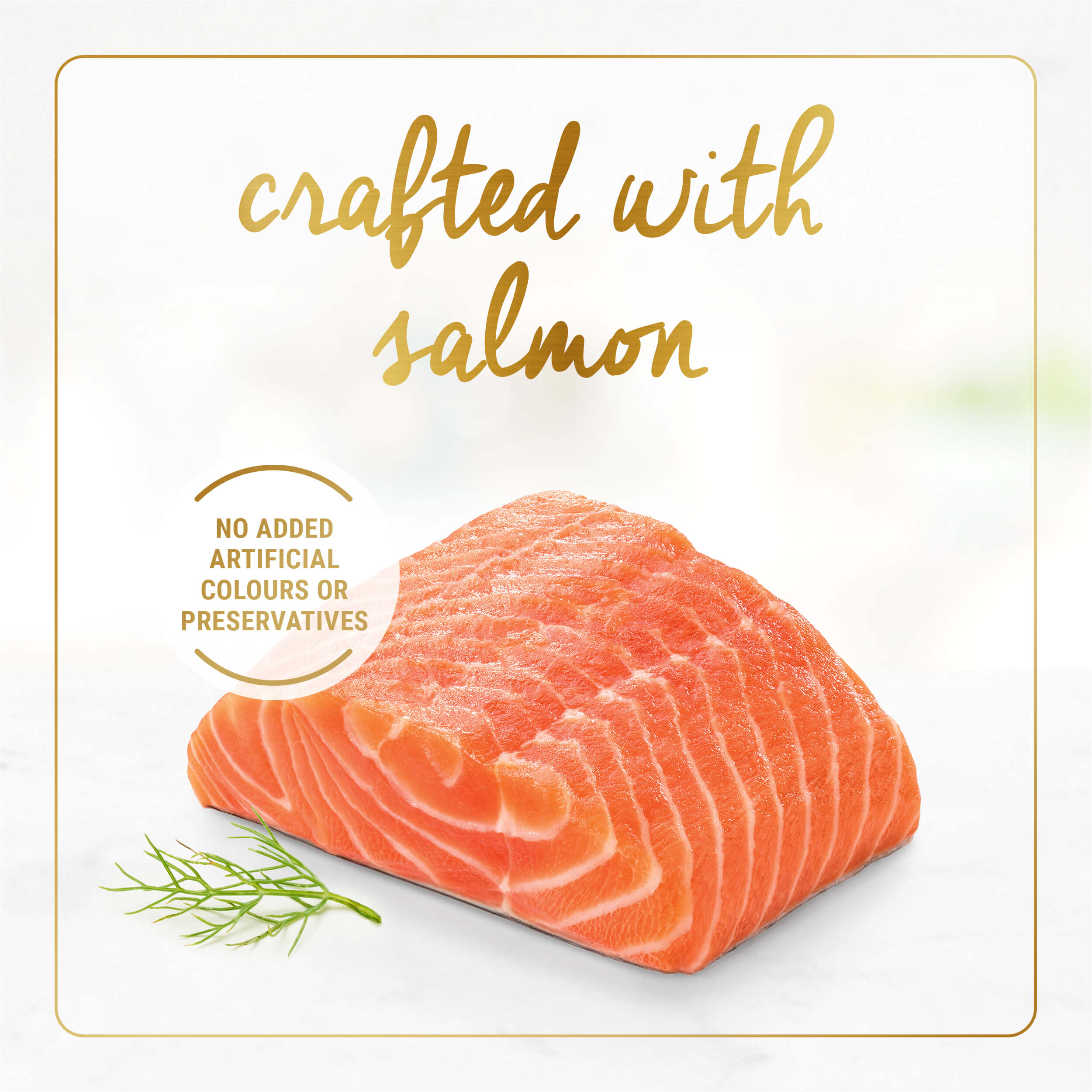 Fancy feast gravy lovers salmon best sale