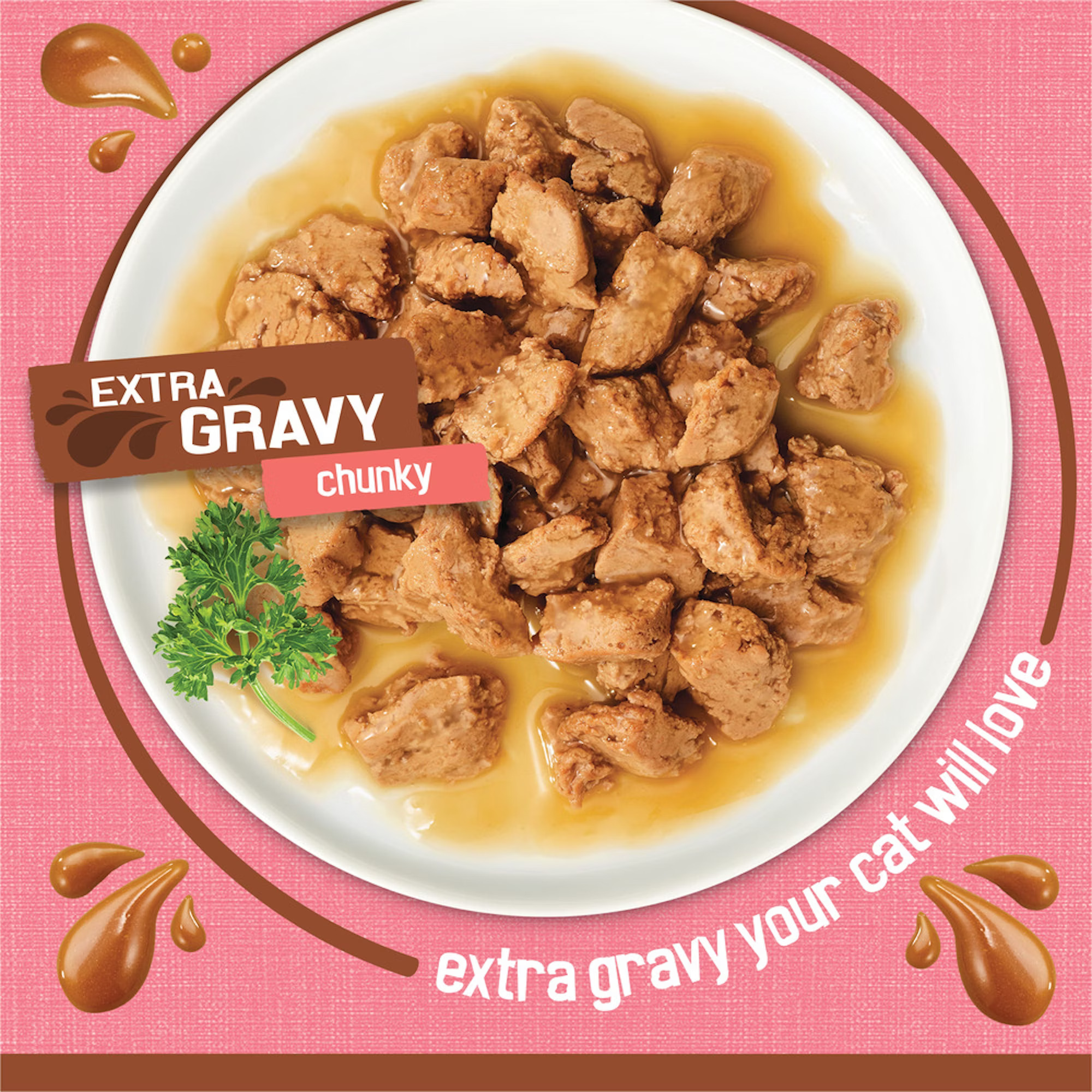 Cat food with extra gravy best sale