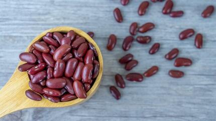 Spoon full of kidney beans