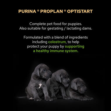 PRO PLAN Small and Mini Puppy OPTISTART Chicken Dry Dog Food
