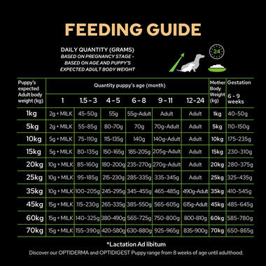 purina pro plan feeding recommendations