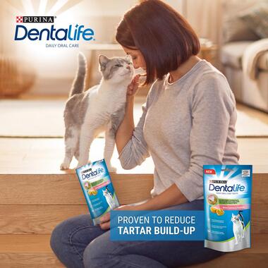 Dentalife purina cat hotsell