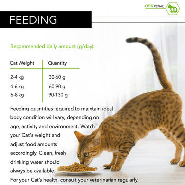 PRO PLAN Healthy Kidneys Chicken Dry Cat Food
