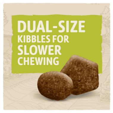 Dual size kibbles for slower chewing