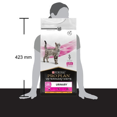 PPVD UR Urinary Chicken Dry Cat Food Purina