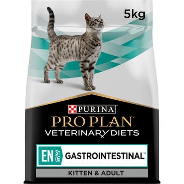 Moistening dry hotsell cat food