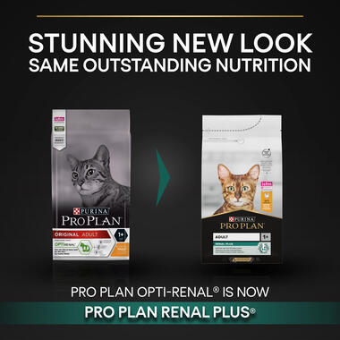 PRO PLAN Healthy Kidneys Dry Chicken Cat Food Purina