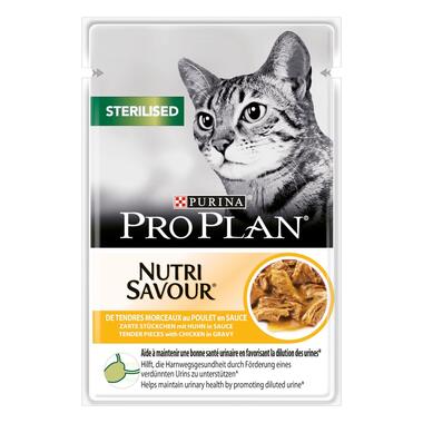 Cat 2024 food nutri