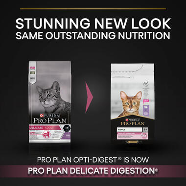 PRO PLAN Vital Senses Salmon Dry Cat Food Purina