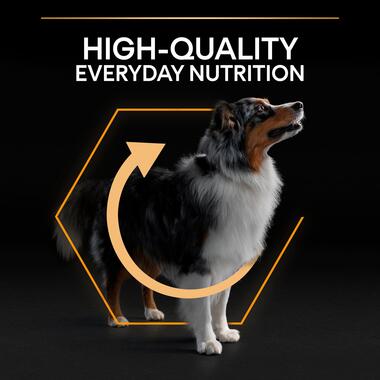 PRO PLAN® Medium OPTIBALANCE Chicken Dry Dog Food