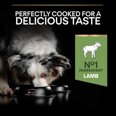 Pro plan lamb and best sale rice ingredients