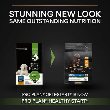 PRO PLAN Optistart Robust Puppy Food Purina