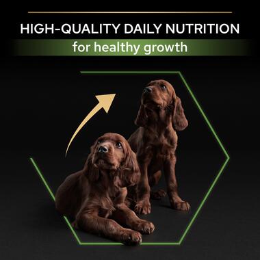 Pro plan outlet large athletic puppy