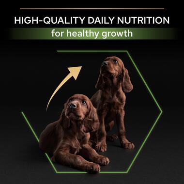 1834 PRO PLAN® Large Athletic Puppy OPTISTART Chicken Dry Dog Food