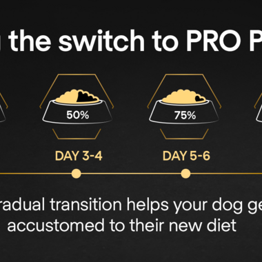 PRO PLAN Medium and Large Adult 7+ Age Defence Chicken Dry Dog Food