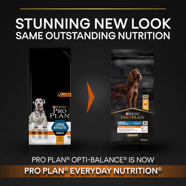 Purina pro plan athletic best sale