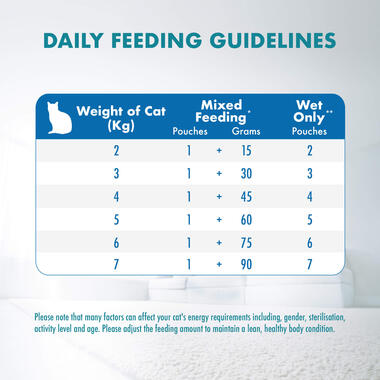 Adult with Ocean Fish feeding guide