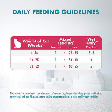 Kitten with Chicken Feeding guide
