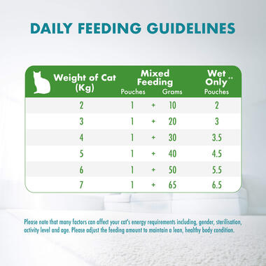 Adult Indoor with Chicken Feeding Guide