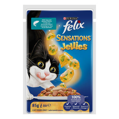 Purina felix wet cat food hotsell