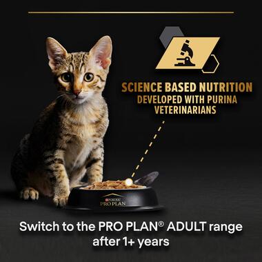 purina_pro_plan_kitten_wet_cat_food_turkey_in_gravy_9