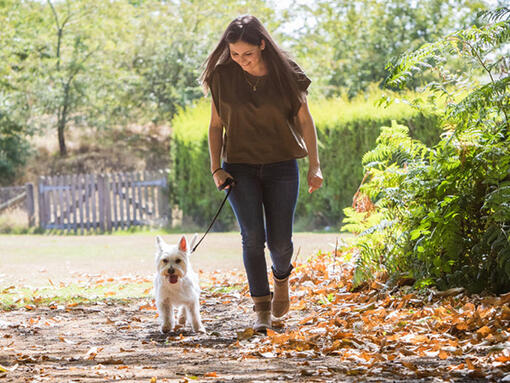 Woman walking a dog outside