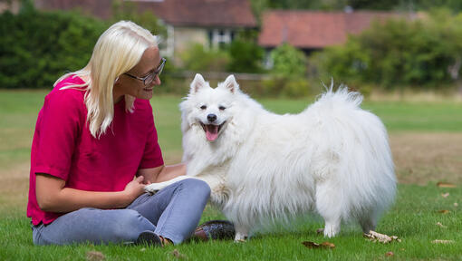 Woman sat outside with dog