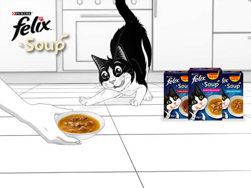 Felix Delicious Meals for Mischievous Cats Purina