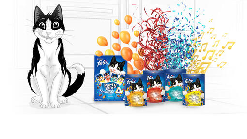 Felix Delicious Meals for Mischievous Cats Purina