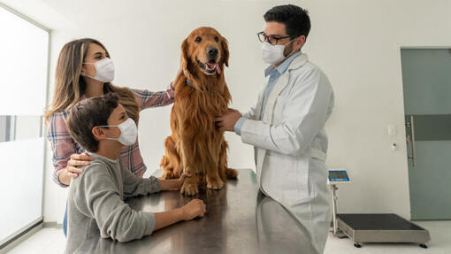 Family with Golden Retriever at Vets
