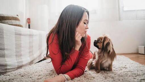 Woman with Pekingese dog at home