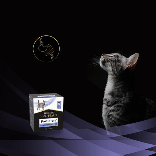 ProPlan FortiFlora Cat