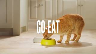 Go-Cat for Go-Getters