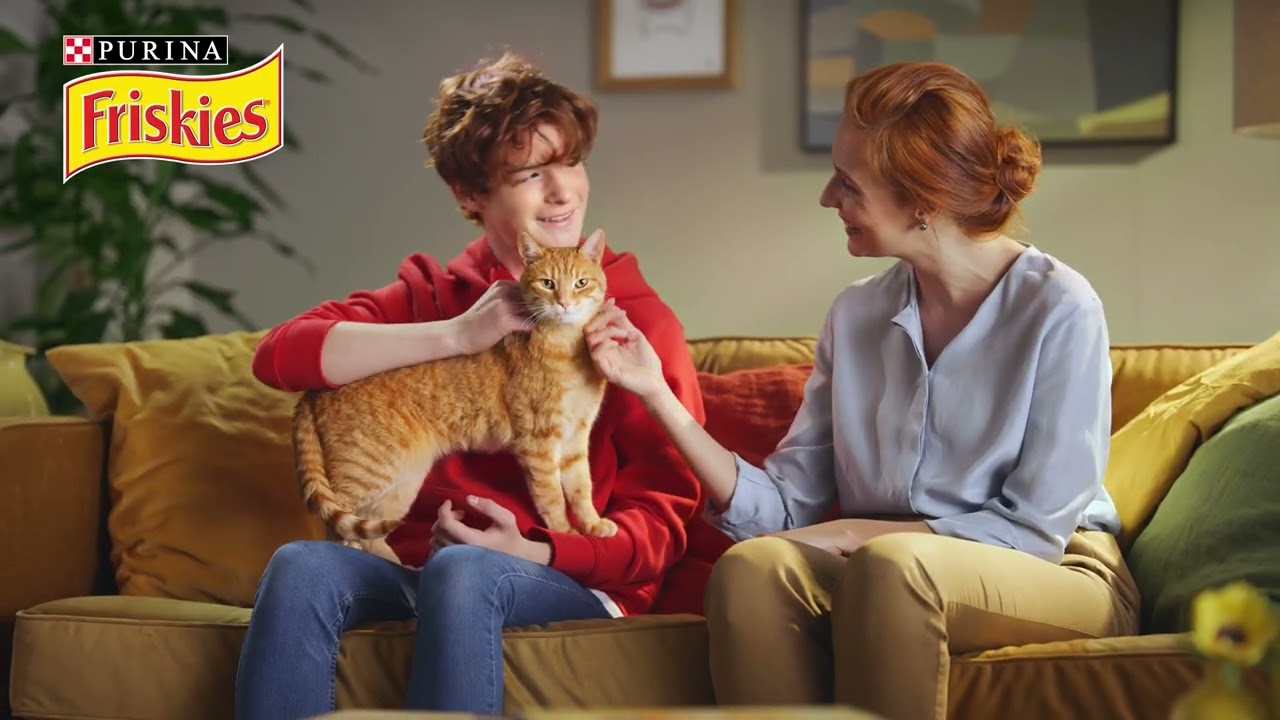 Friskies - The nation's favourite dry cat food